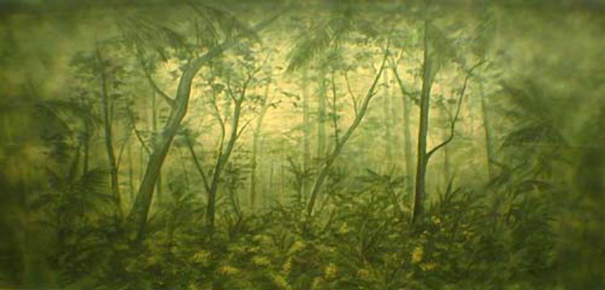 113 Tropical Forest